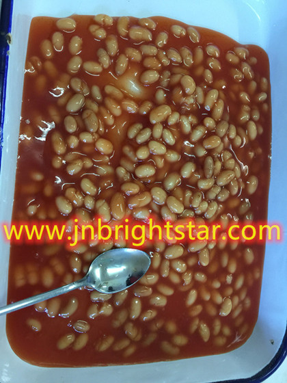 Canned Baked Bean in Tomato Sauce