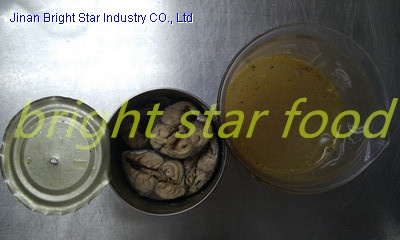 Canned Mackerel in Vegetable Oil